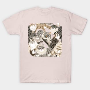 Cats Paradise Light  Pink T-Shirt